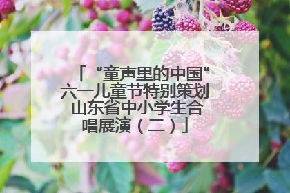 “童声里的中国”六一儿童节特别策划 山东省中小学生合唱展演（二）